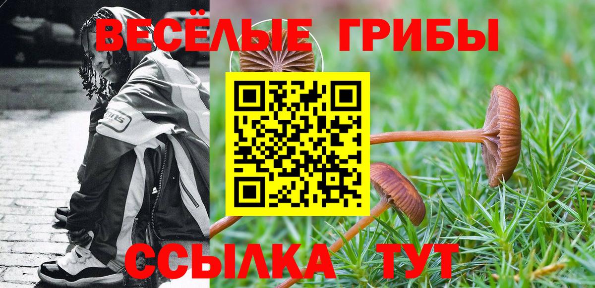 Алексеевка  Псилоцибиновые грибы Psilocybine cubensis  Псилоцибиновые грибы Magic Shrooms  Вход с VPN 
