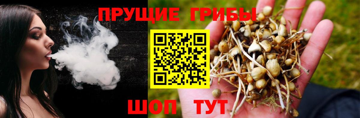 Псилоцибиновые грибы прущие грибы Алексеевка